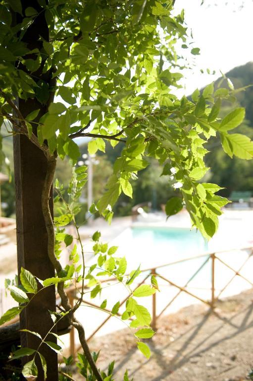 Agriturismo Ca' Montioni ξενώνας Mercatello sul Metauro Δωμάτιο φωτογραφία